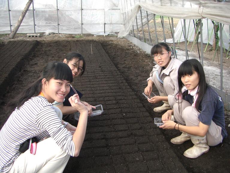 市役所 バラ園 農業高校 ２００９年3月 カピックつれづれにっき